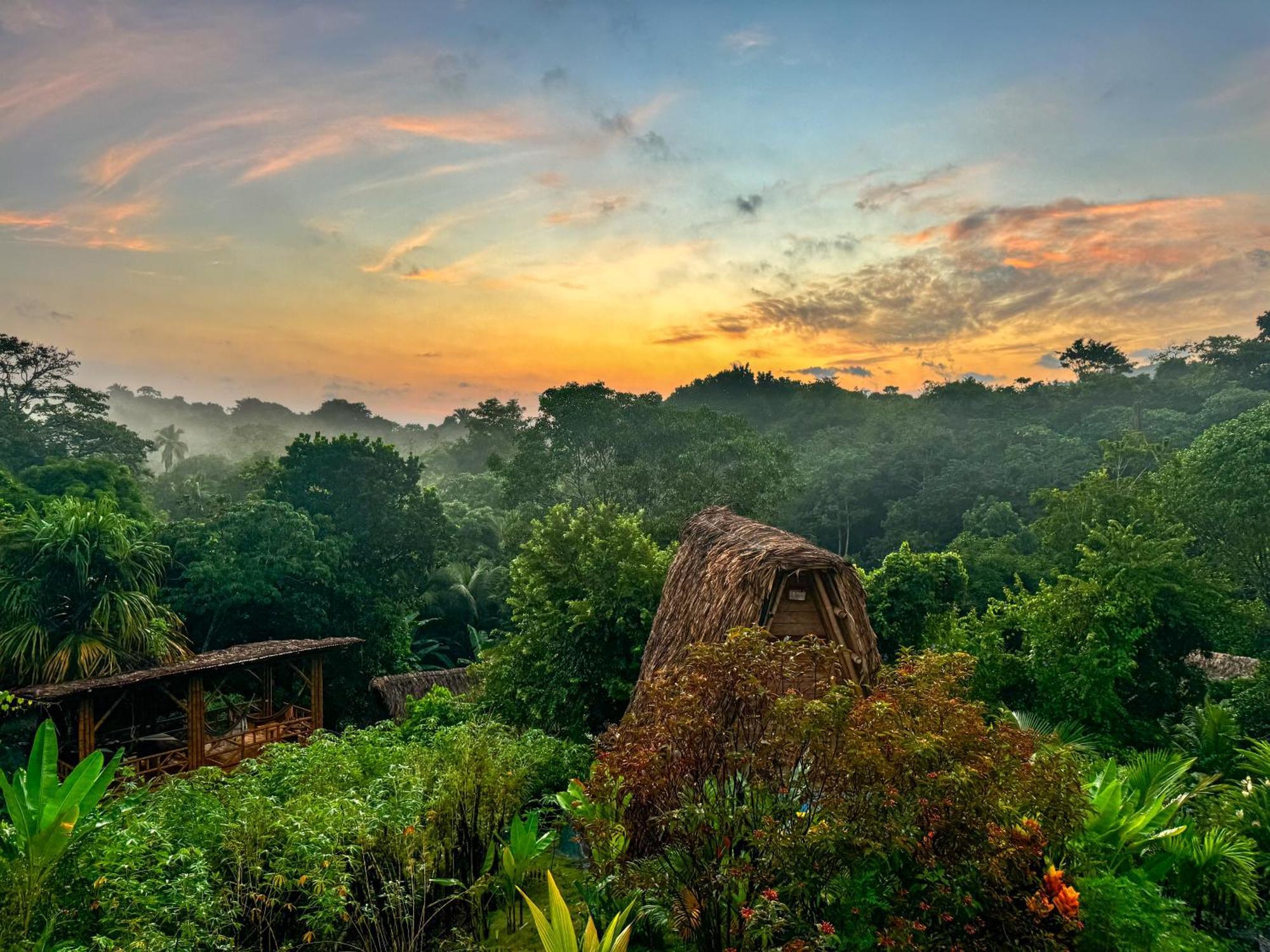 Ecohabs Bamboo Parque Tayrona - Dentro Del Pnn Tayrona Ξενοδοχείο El Zaino Εξωτερικό φωτογραφία